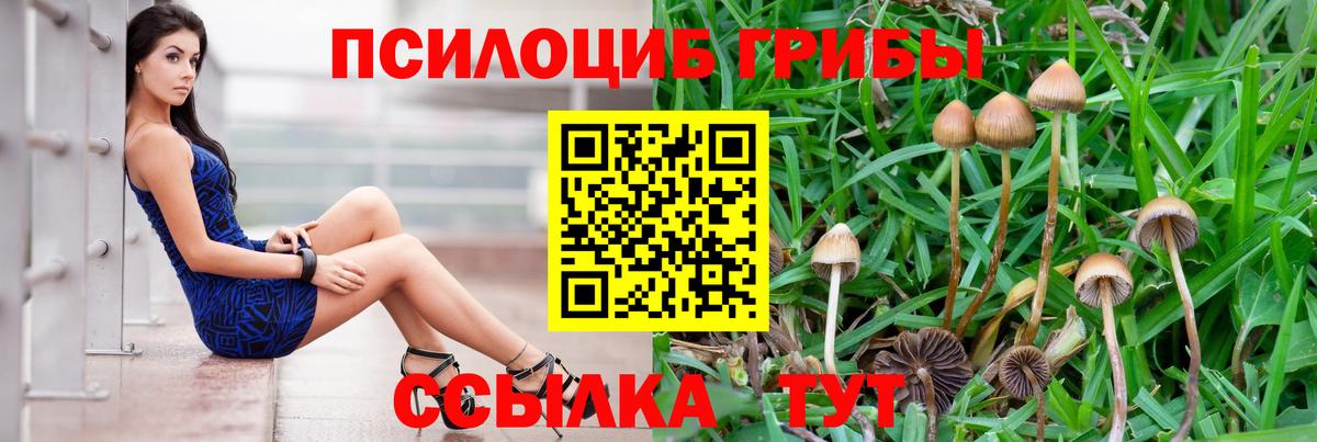 Псилоцибиновые грибы мухоморы  где найти   Ишим  Вход с VPN 